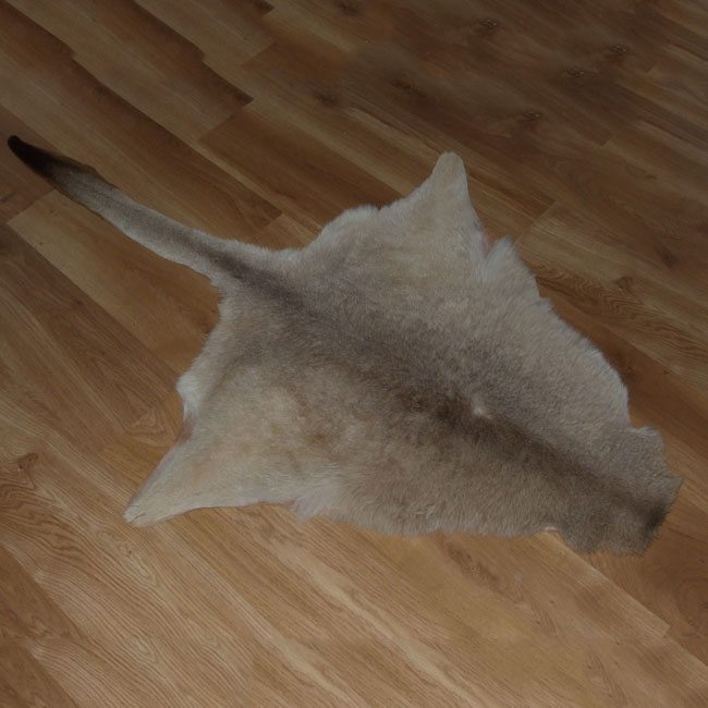 Kangaroo Hide Rug Wide Range of Perth Rugs – Online & In Store At Eagle Wools, Perth WA