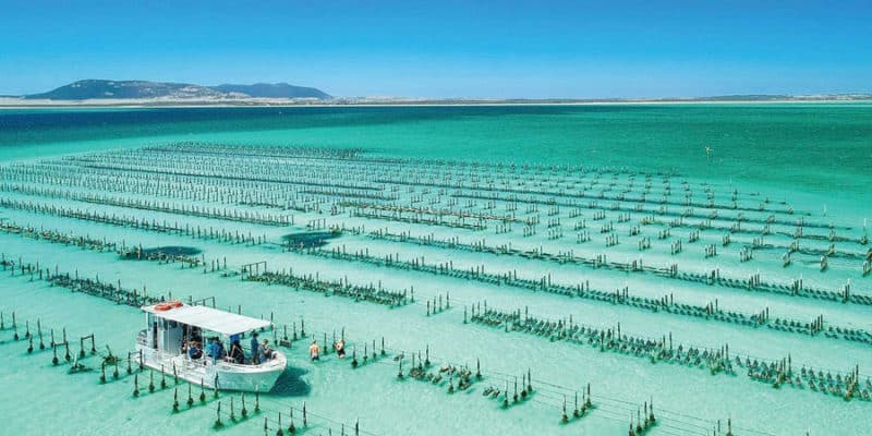 Top Places To Visit In South Australia - Eagle Wools
